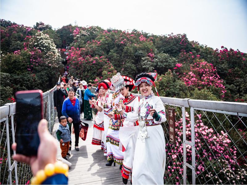 100-li Azalea National Forest Park