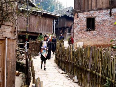 Basha Miao Village