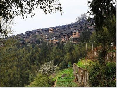 Basha Miao Village Guizhou