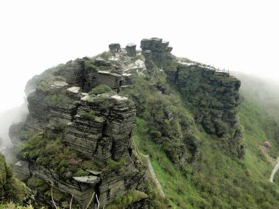 Guizhou Fanjing Mountain
