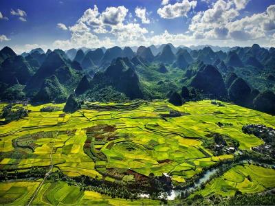 Forest of Ten Thousand Peaks