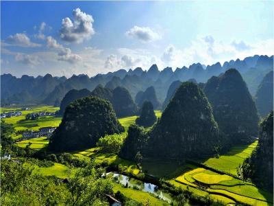 Forest of Ten Thousand Peaks