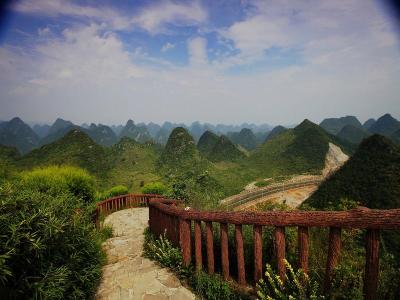 Forest of Ten Thousand Peaks