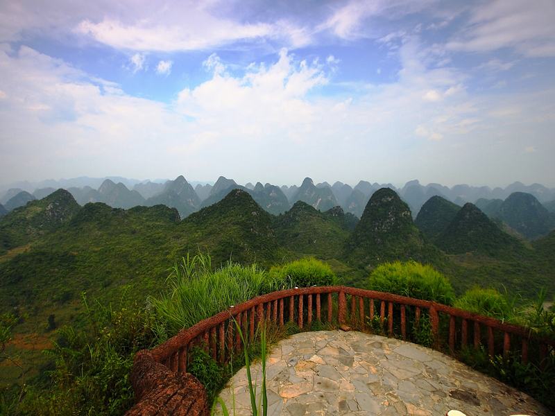 Forest of Ten Thousand Peaks