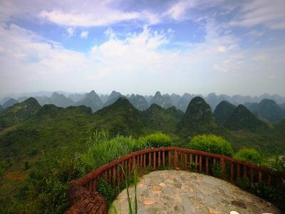 Forest of Ten Thousand Peaks