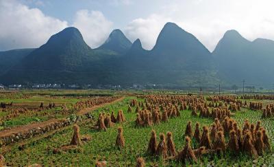 Wanfenglin Xianahui Buyi Minority Village