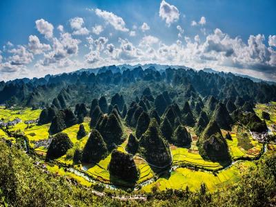 Forest of Ten Thousand Peaks
