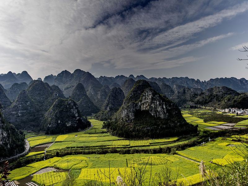 Guizhou Forest of Ten Thousand Peaks