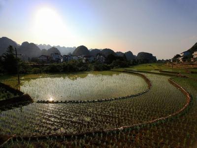 Forest of Ten Thousand Peaks Guizhou