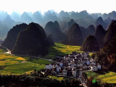 Forest of Ten Thousand Peaks