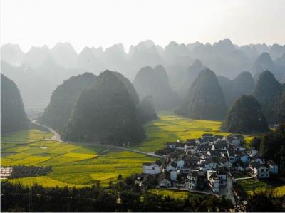 Forest of Ten Thousand Peaks
