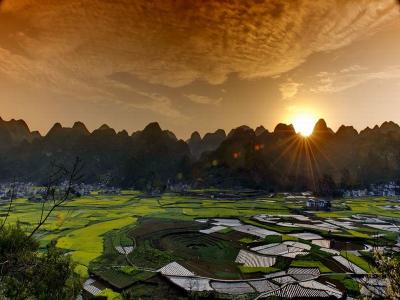 Forest of Ten Thousand Peaks