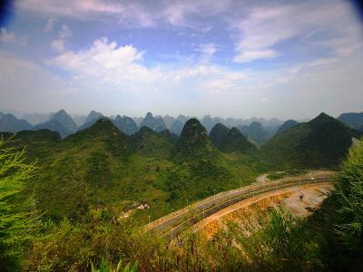 Forest of Ten Thousand Peaks