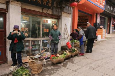 Qingyan Ancient Town